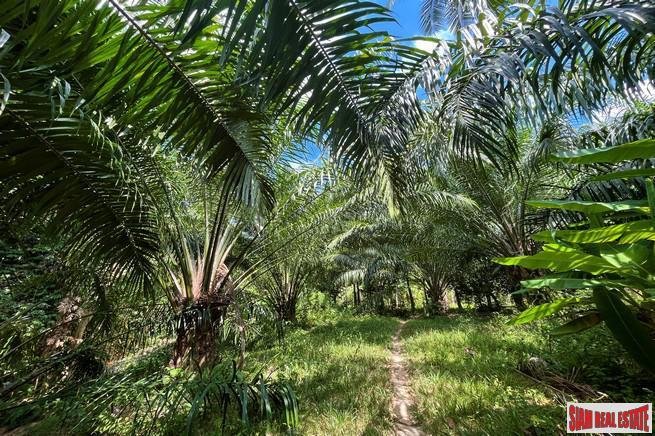 Terreno a Lo Yung, Provincia di Phang Nga, Thailandia 5 - 18476654