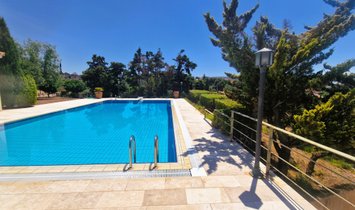 Villa a Kropia, Attica, Grecia 2