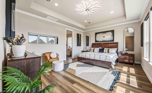 House in Rosharon, Texas, United States 1