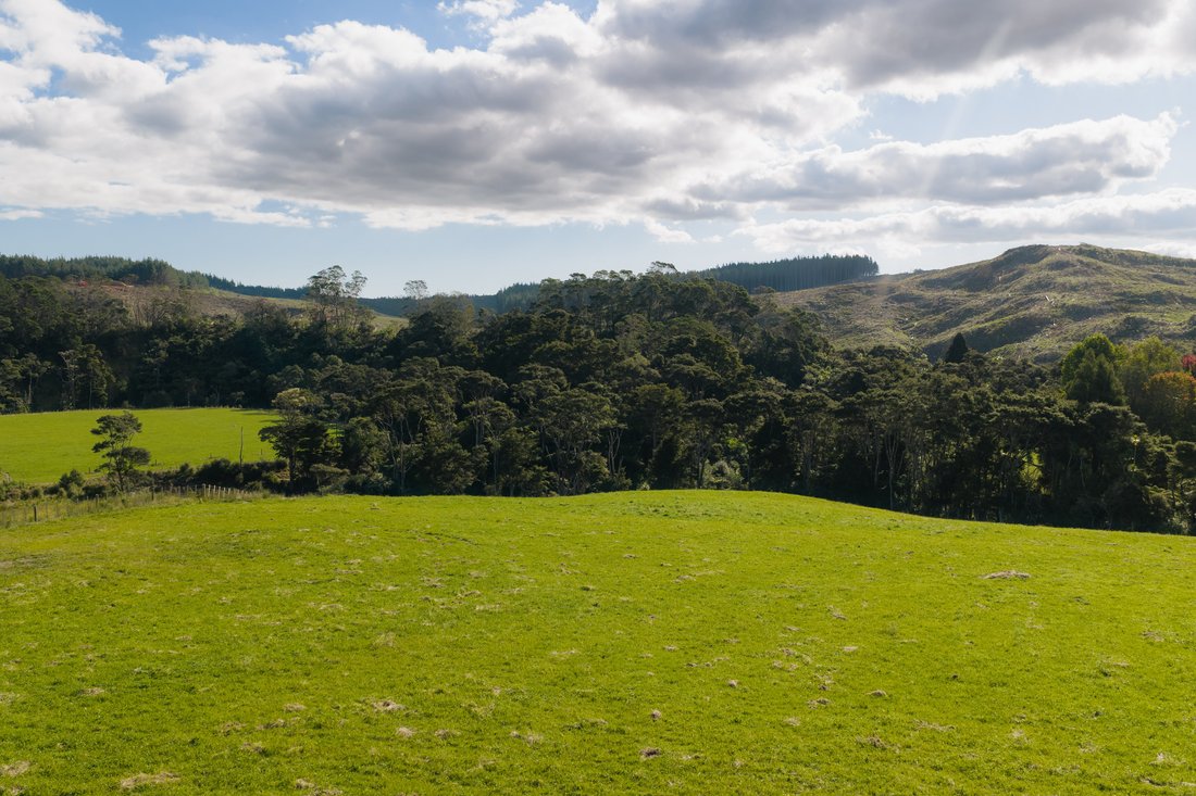 Land in Coatesville, Auckland, New Zealand 1 - 18480726