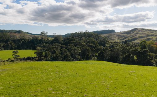 Terreno a Coatesville, Auckland, Nuova Zelanda 1