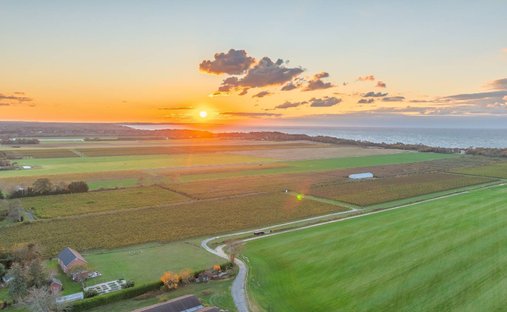 Terreno a Cutchogue, New York, Stati Uniti 1