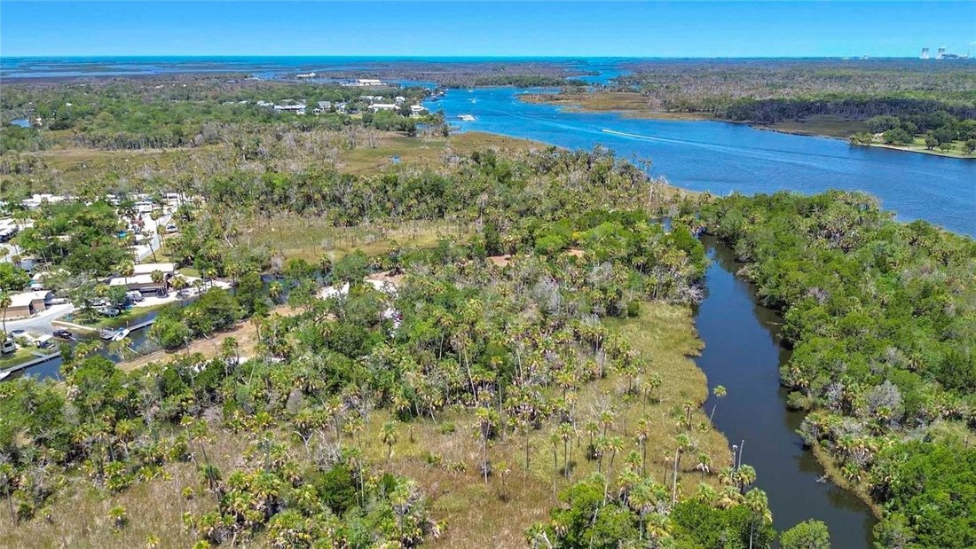 Land in Crystal River, Florida, United States 3 - 18481628