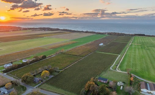 Terrain à Cutchogue, État de New York, États-Unis 1