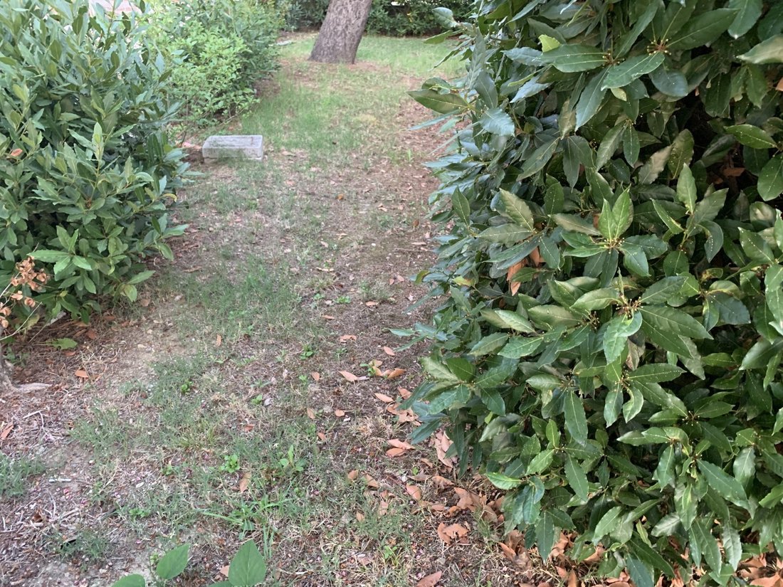 House in Paese, Riccione, Emilia-Romagna 5 - 18481226