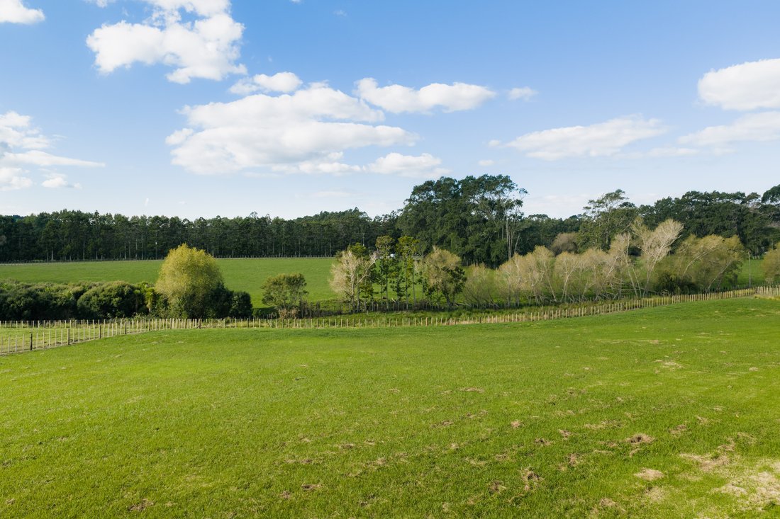 Land in Coatesville, Auckland, New Zealand 1 - 18480667