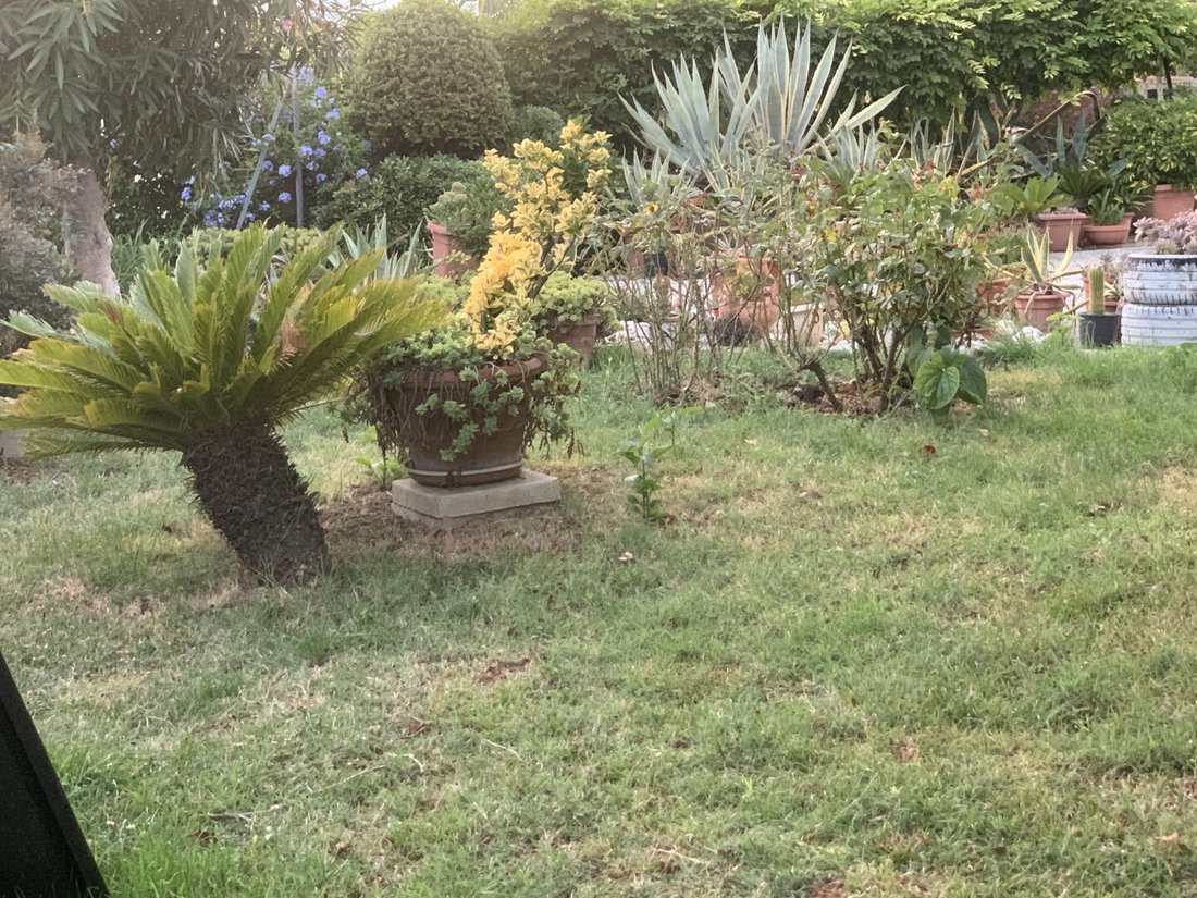 House in Paese, Riccione, Emilia-Romagna 1 - 18481226