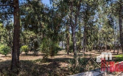 Land in Las Torres de Cotillas, Región de Murcia, Spain 1