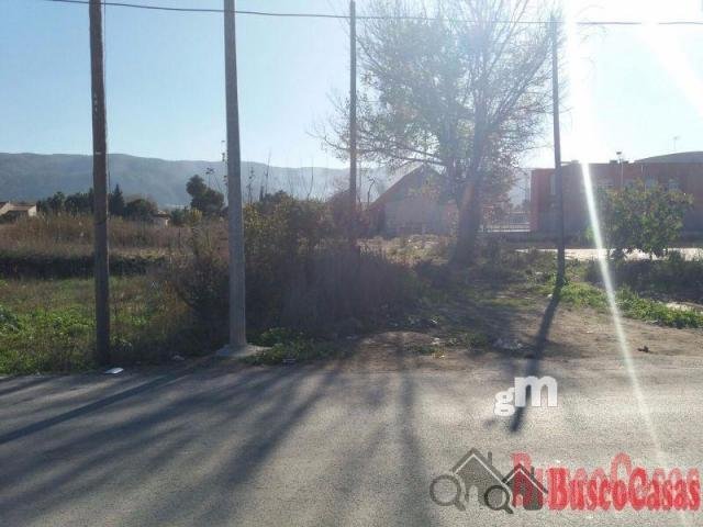 Land in San Benito, Murcia, Spain 2 - 13111114