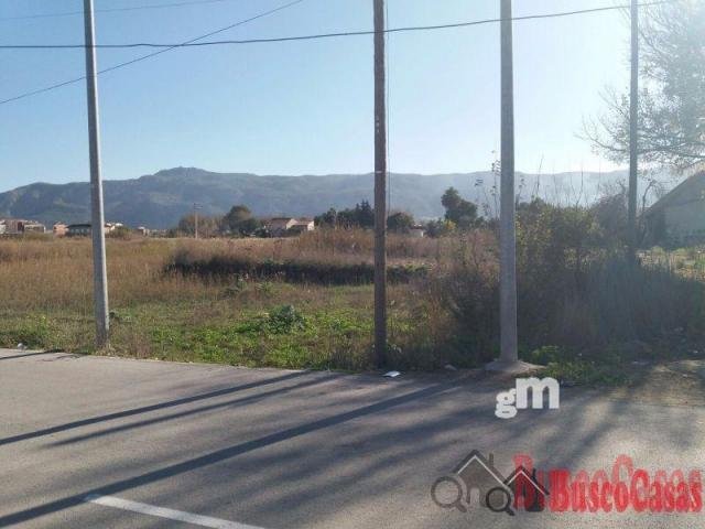 Land in San Benito, Murcia, Spain 1 - 13111114