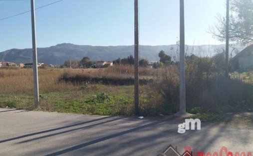 Land in San Benito, Murcia, Spain 1