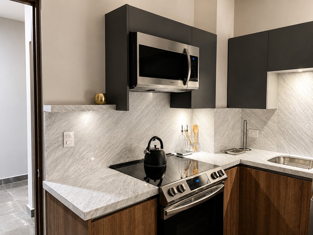 Apartment in Monterrey, Nuevo Leon, Mexico 3 - 18480426