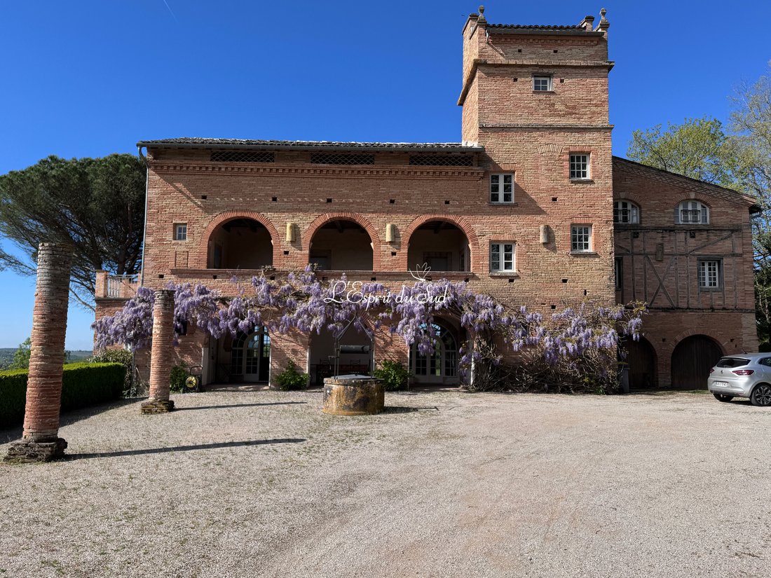 Country House in Montdurausse, Occitania, France 2 - 15881060