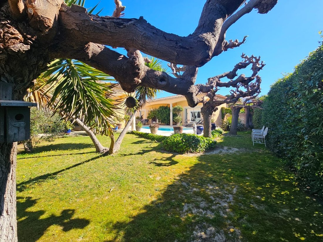 Villa in Bouzigues, Occitania, France 2 - 18480797