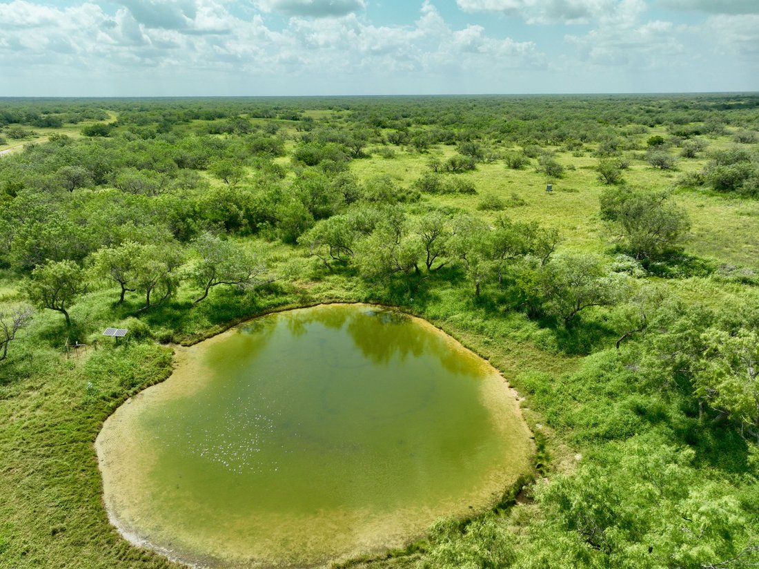 Farm Ranch in Rio Grande City, Texas, United States 3 - 18480669