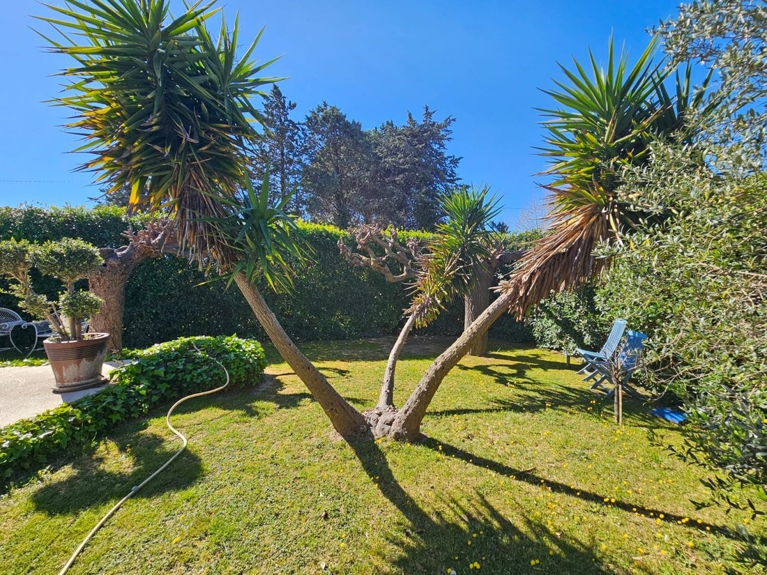 Villa in Bouzigues, Occitania, France 3 - 18480797