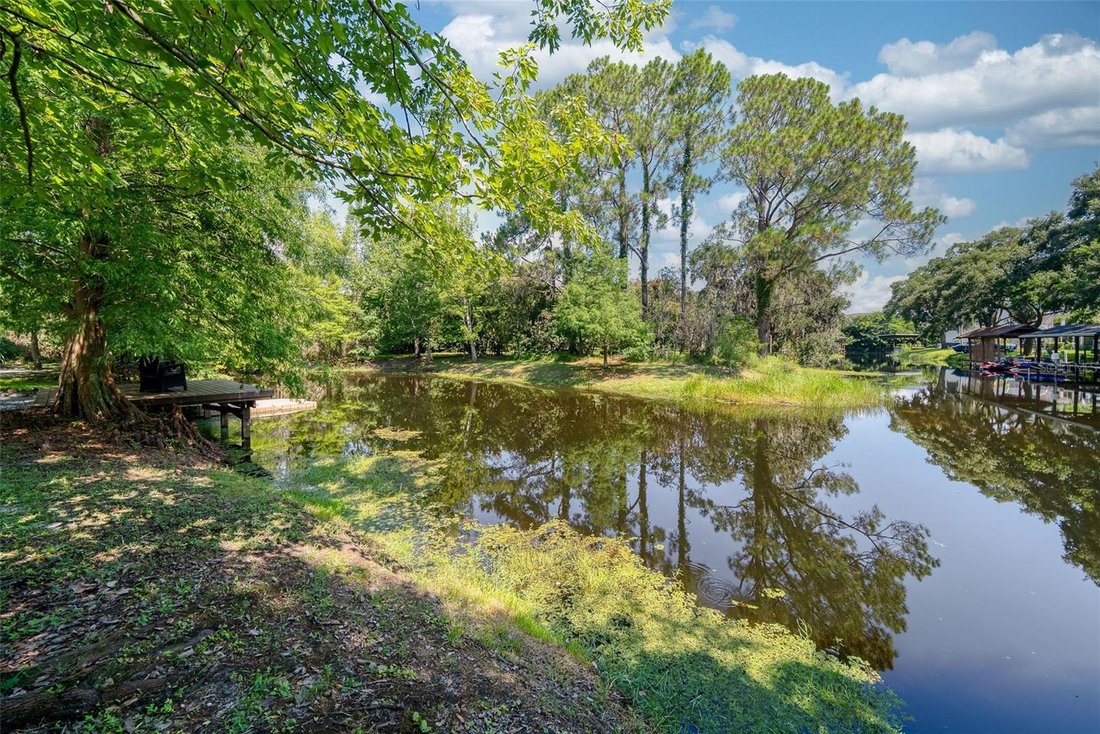 House in Lake Butler, Florida, United States 5 - 18481240