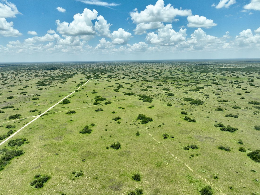 Farm Ranch in Rio Grande City, Texas, United States 1 - 18480669