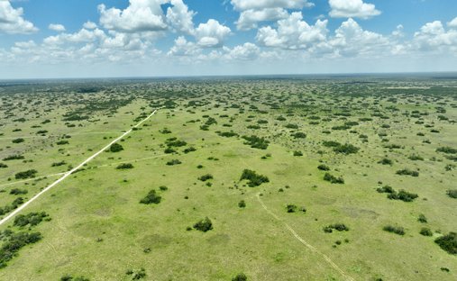 Rancho en Rio Grande City, Texas, Estados Unidos 1