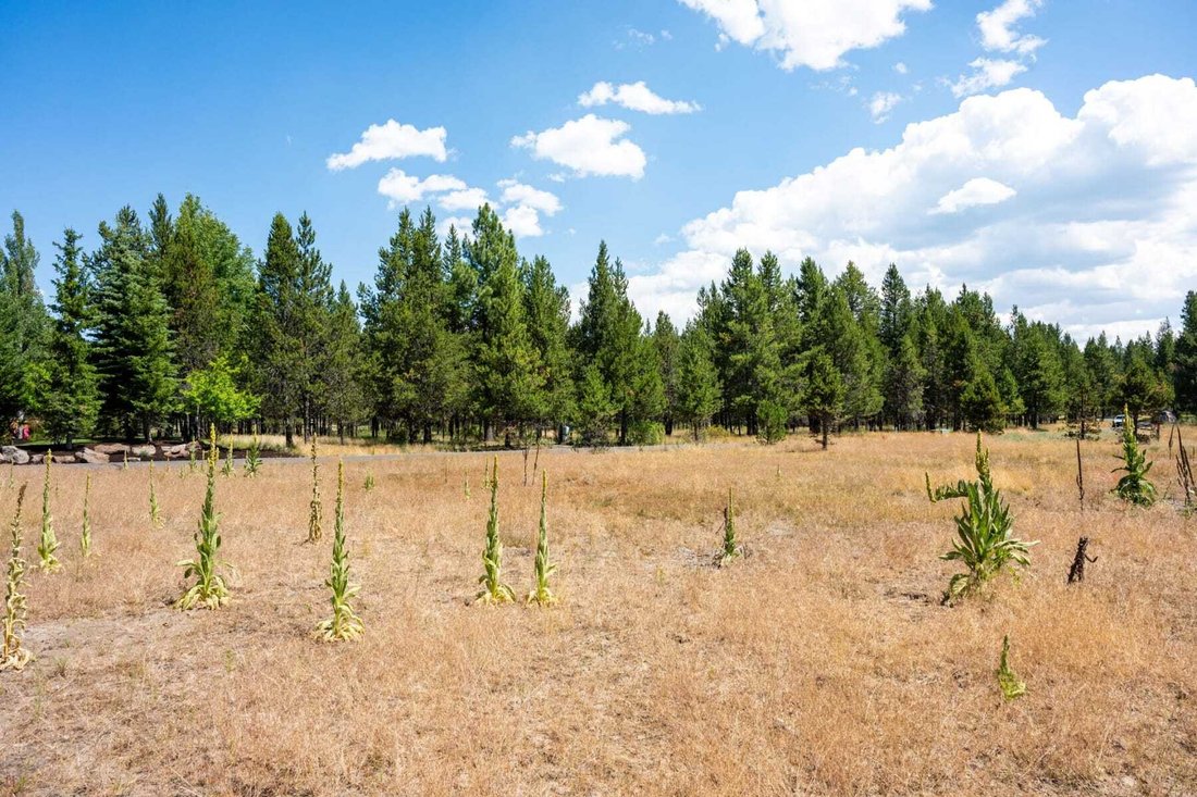 Land in Sunriver, Oregon, United States 4 - 18481623