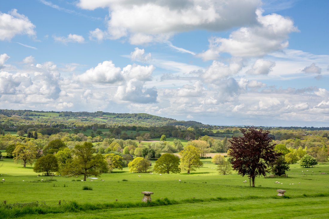 Country House in Wiltshire, England 5 - 18481794