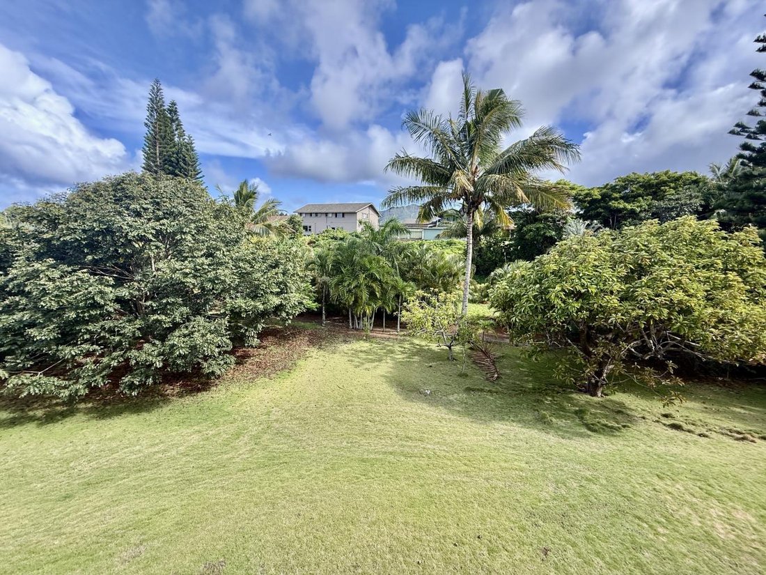 House in Lihue, Hawaii, United States 3 - 18481878