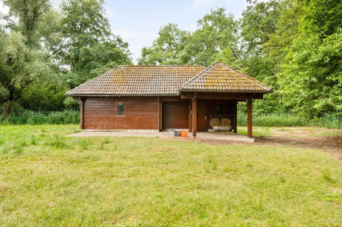 Villa in Schilde, Flanders, Belgium 3 - 16682254