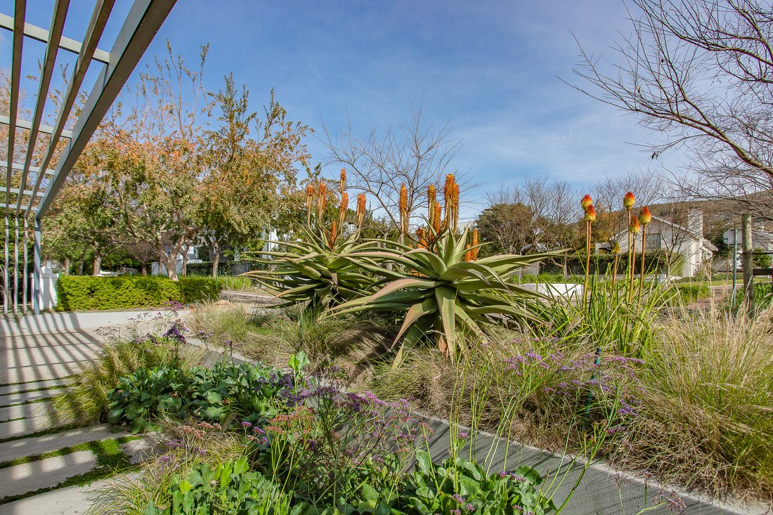 Country House in Paarl, Groenvlei, Western Cape 3 - 18482348