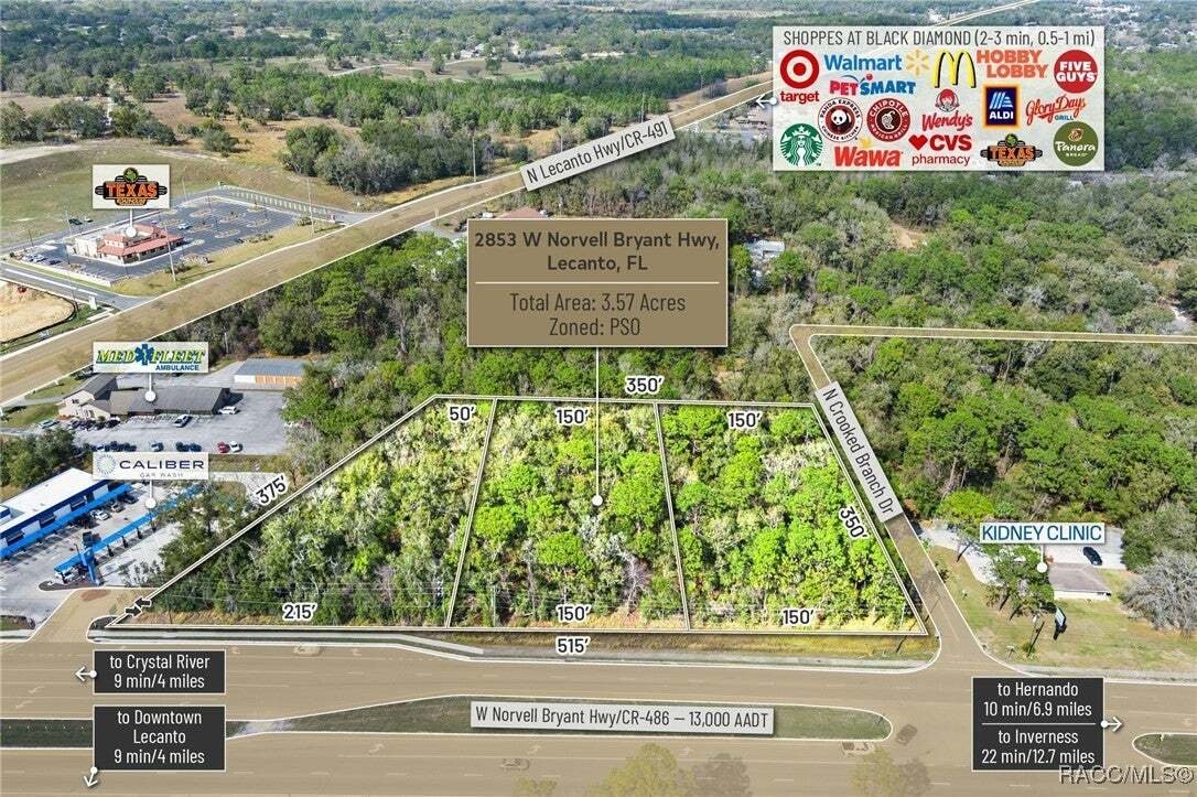 Land in Lecanto, Florida, United States 5 - 15221089