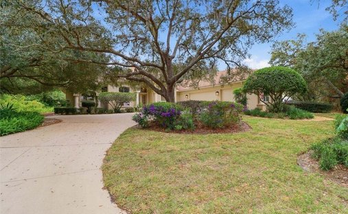 House in Lecanto, Florida, United States 1