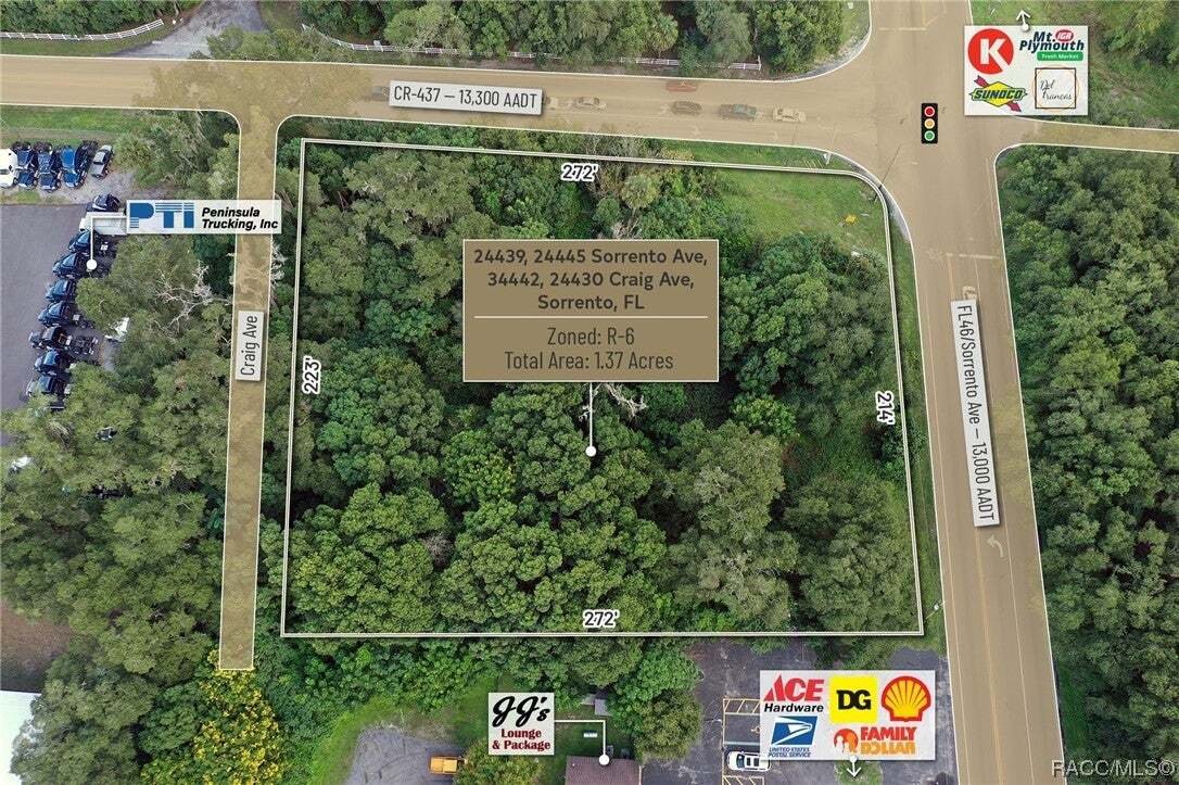 Land in Mount Dora, Florida, United States 2 - 13343625