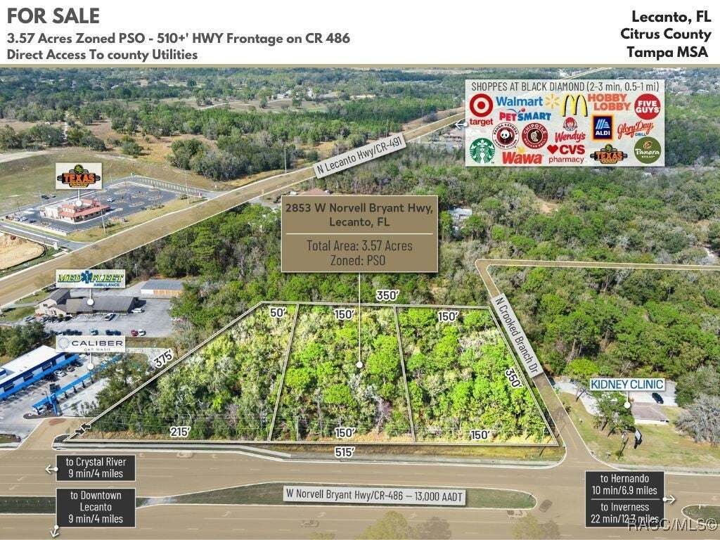 Land in Lecanto, Florida, United States 3 - 15221089