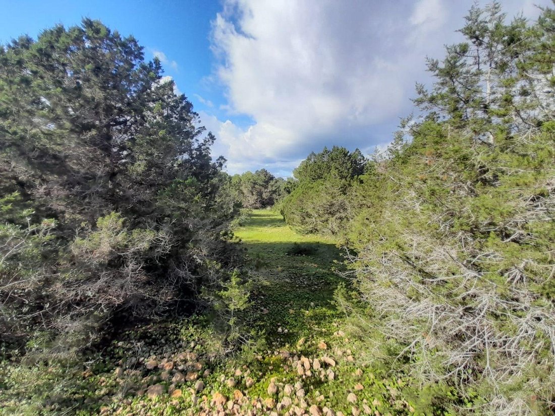 Land in Sant Josep de sa Talaia, Balearic Islands, Spain 4 - 18482871