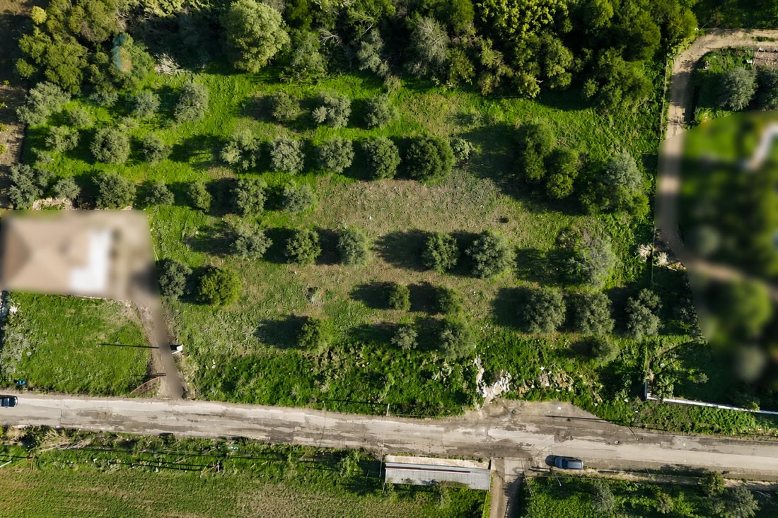 Land in Palagonia, Sicily, Italy 4 - 16179501