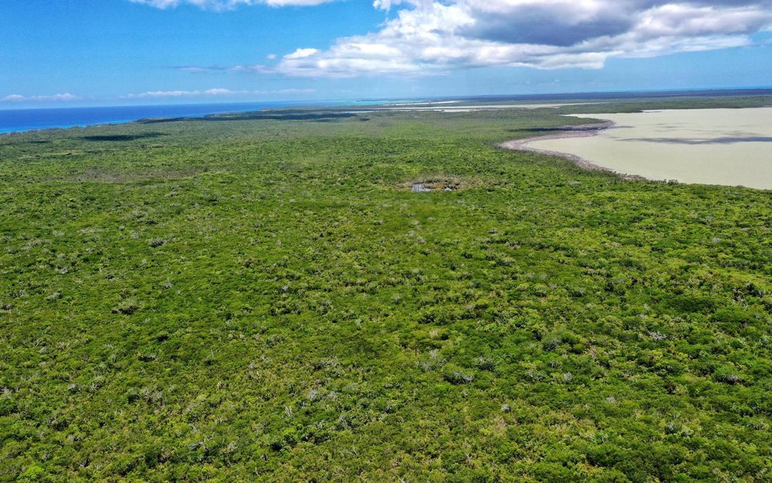 Land in Port Howe, Cat Island, The Bahamas 5 - 18483031