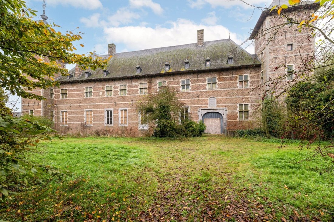 Villa in Tongeren-Borgloon, Flanders, Belgium 3 - 15766893