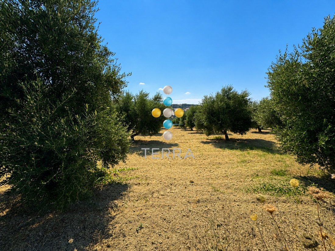 Land in Crete, Greece 5 - 18483801