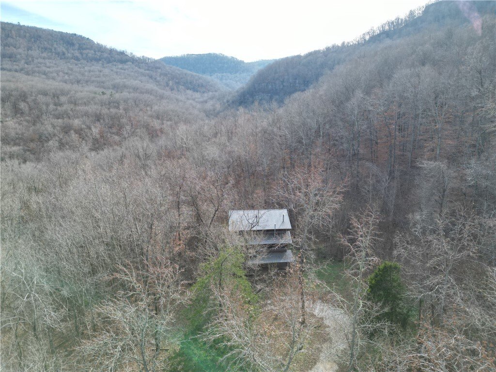 House in Parthenon, Arkansas, United States 2 - 18483253