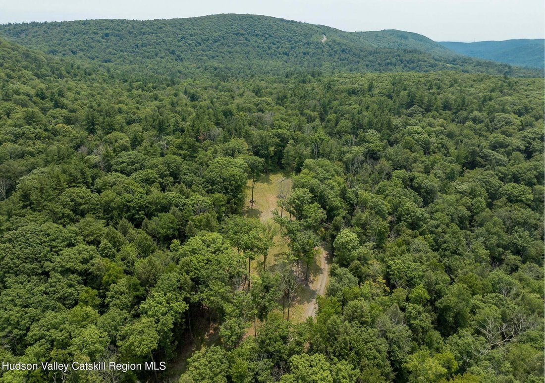 Land in Austerlitz, New York, United States 3 - 18483954