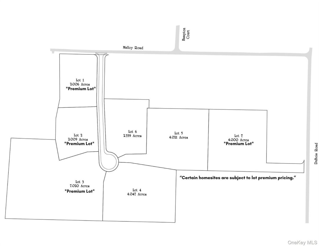 House in Wallkill, New York, United States 2 - 18486063