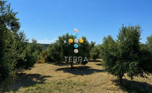 Land in Crete, Greece 1