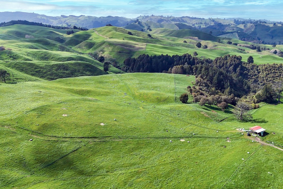 Land in Waikite Valley, Waikato, New Zealand 3 - 18486146