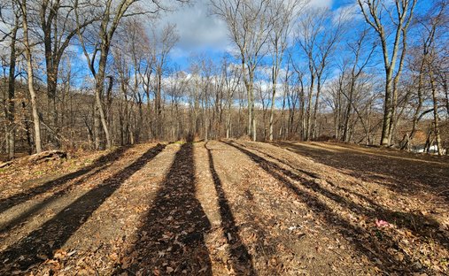 Land in Morris Township, New Jersey, United States 1