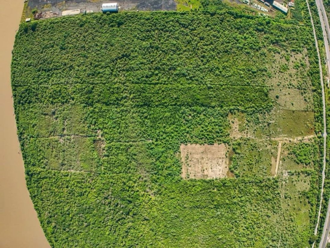 Land in Anahuac, Veracruz, Mexico 5 - 18485010