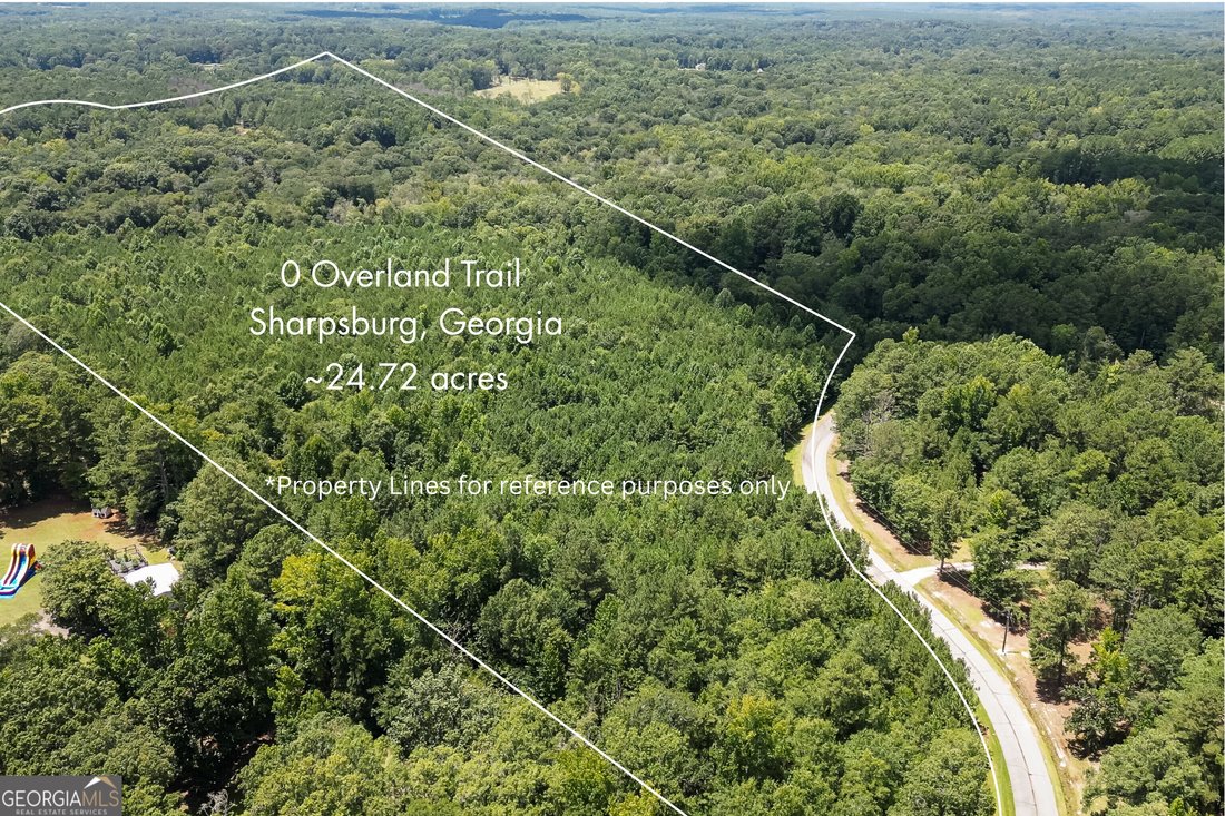 Land in Sharpsburg, Georgia, United States 2 - 18484600