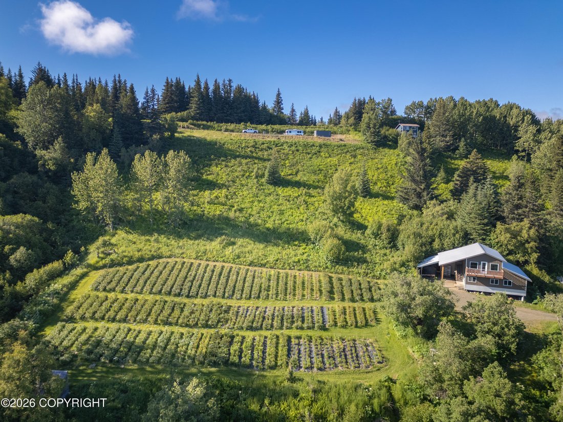 House in Homer, Alaska, United States 3 - 18484580