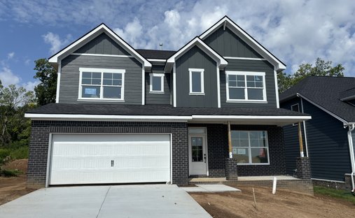 House in Dixon Springs, Tennessee, United States 1