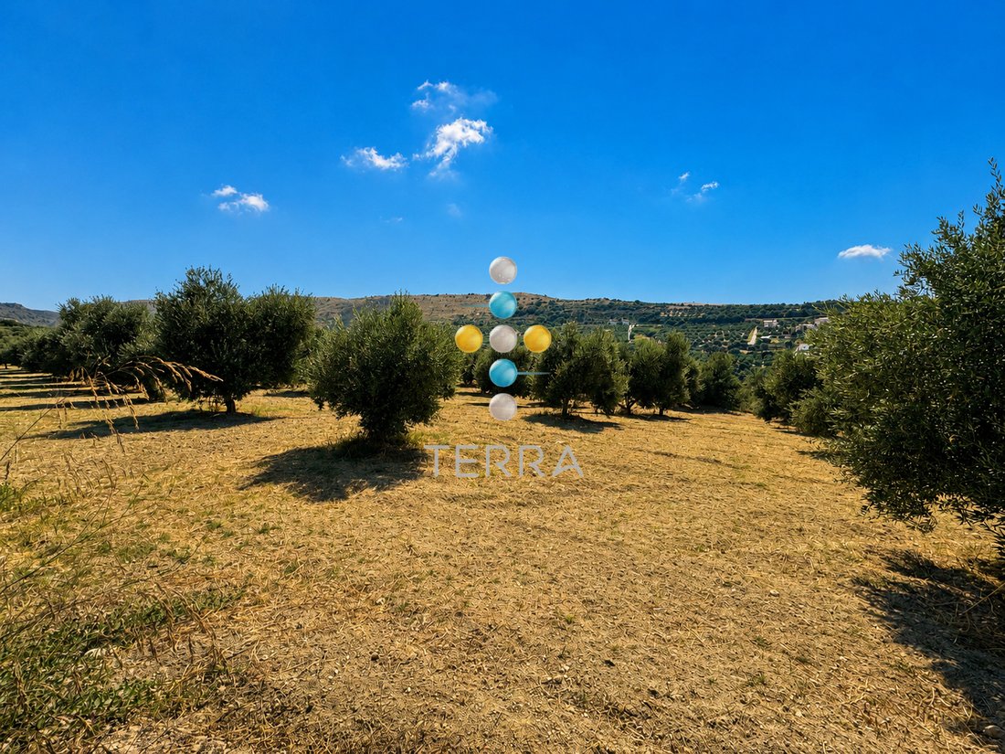 Land in Crete, Greece 4 - 18483801