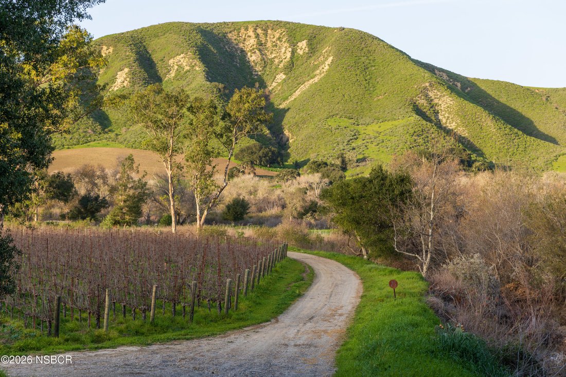 Buellton, California, United States 5 - 18485084