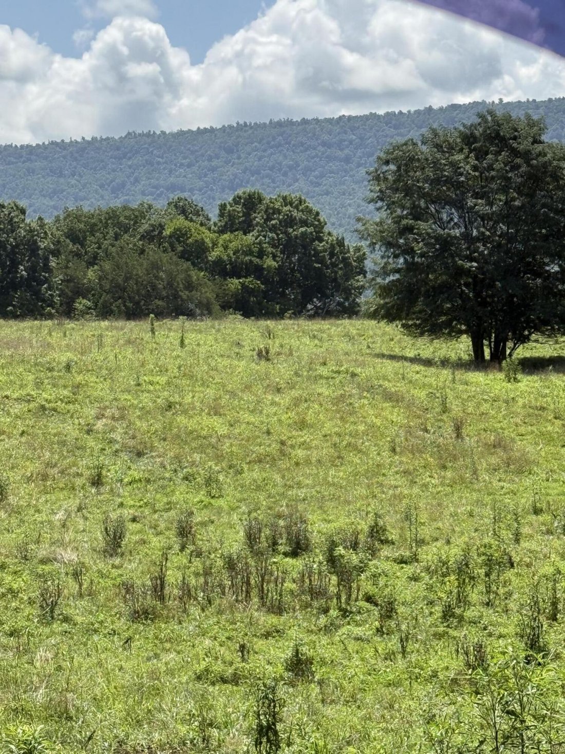 Land in Dunlap, Tennessee, United States 5 - 18487610